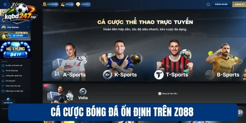 Cá cược bóng đá ổn định trên Zo88