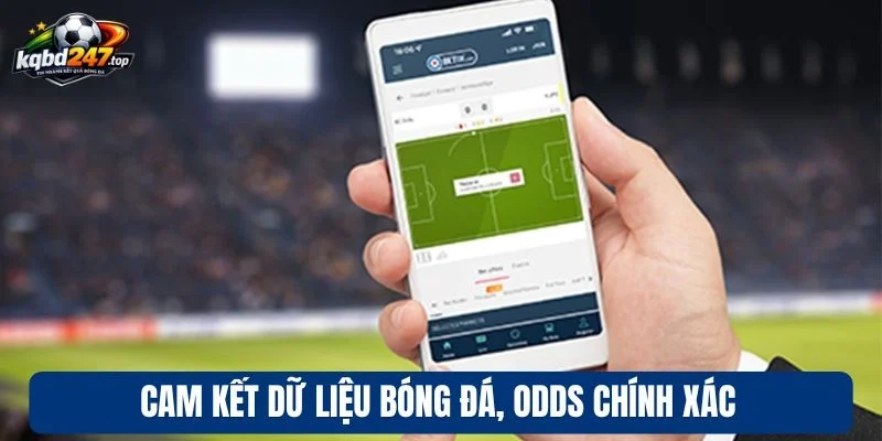 Cam kết dữ liệu bóng đá, odds chính xác