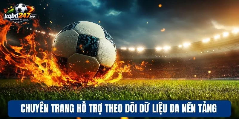 Chuyên trang hỗ trợ theo dõi dữ liệu đa nền tảng