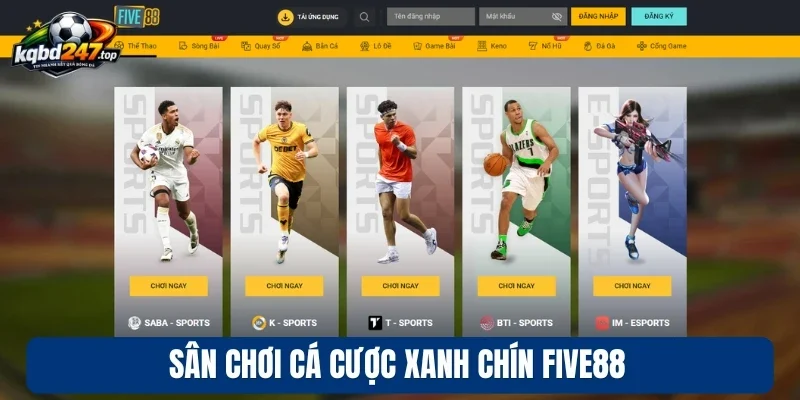 Sân chơi cá cược xanh chín Five88
