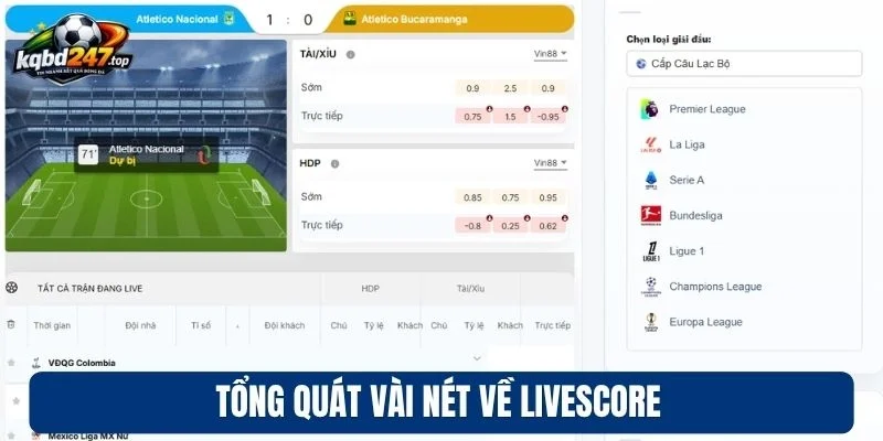 LIVESCORE 89 Tổng quát vài nét về Livescore
