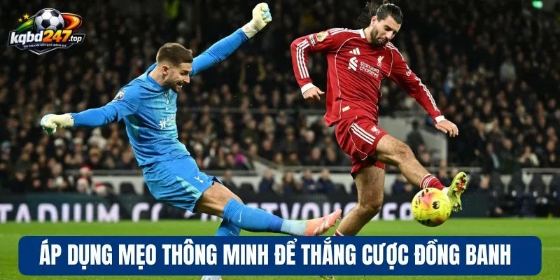 Kèo Đồng Banh Nửa Trái - Cách Đọc và Mẹo Thắng Từ Chuyên Gia 4 Áp dụng mẹo thông minh để thắng cược đồng banh