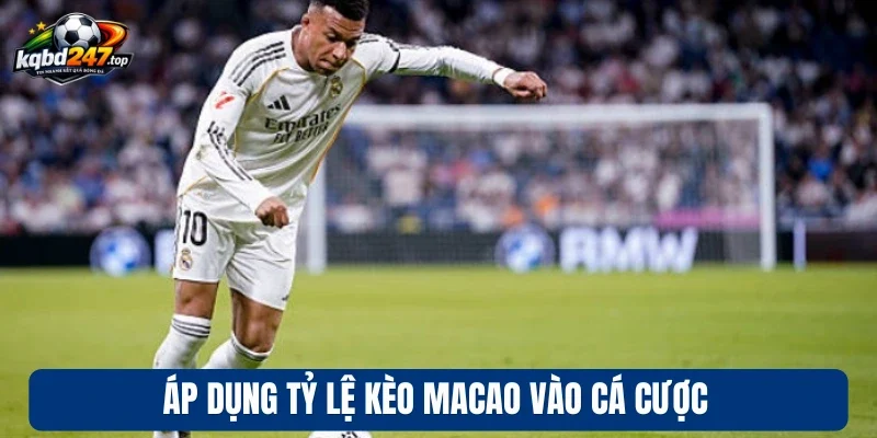 Áp dụng tỷ lệ kèo Macao vào cá cược