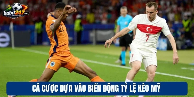 Cá cược dựa vào biến động tỷ lệ kèo Mỹ