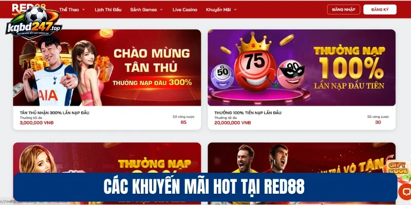 Red88 - Sân Chơi Đẳng Cấp, Cá Cược Trực Tuyến Chất Lượng 3 Các khuyến mãi hot tại Red88