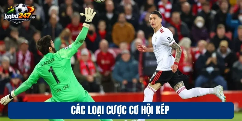 Các loại cược cơ hội kép