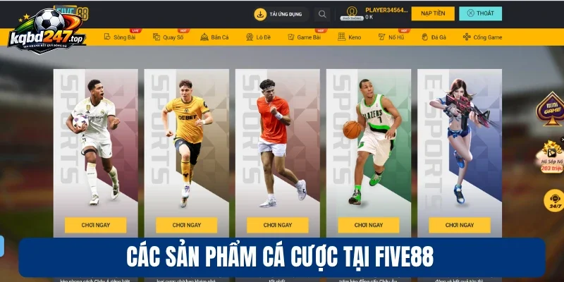 Five88 - Nhà Cái Đẳng Cấp, Bùng Nổ Trải Nghiệm Mỗi Ngày 2 Các sản phẩm cá cược tại Five88