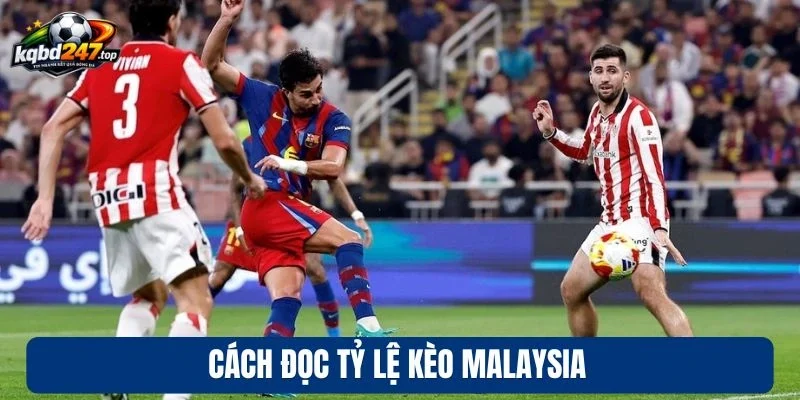 Cách đọc tỷ lệ kèo Malaysia