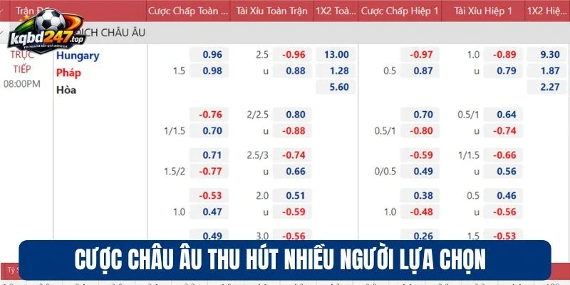 Cược châu Âu thu hút nhiều người lựa chọn 