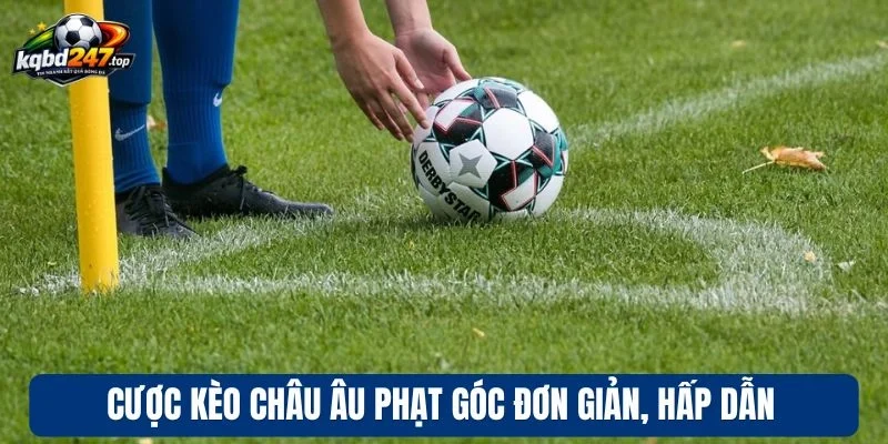Cược kèo châu Âu phạt góc đơn giản, hấp dẫn