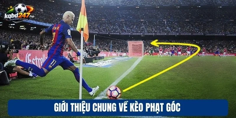 Giới thiệu chung về kèo phạt góc