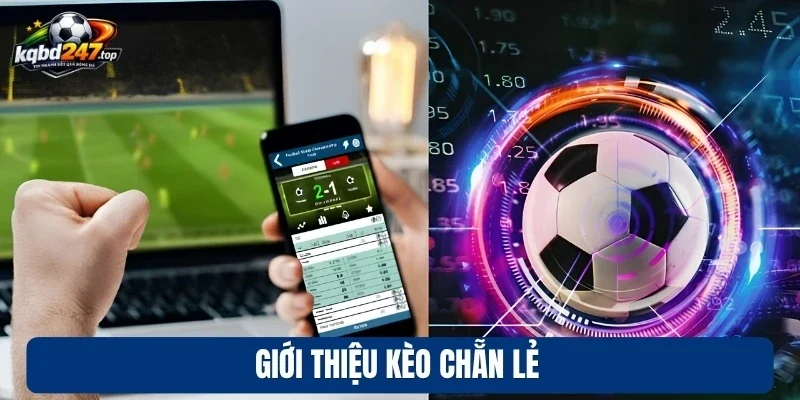 Giới thiệu kèo chẵn lẻ
