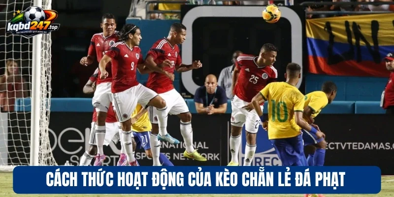 Cách chơi kèo chẵn lẻ đá phạt hiệu quả