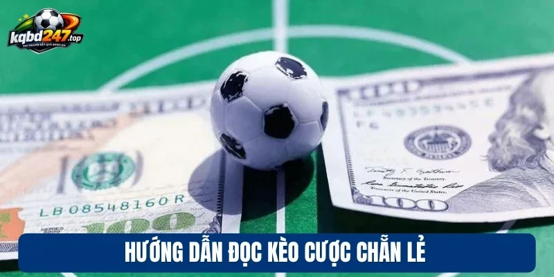 Hướng dẫn đọc kèo cược chẵn lẻ