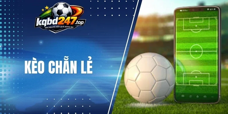 Hướng dẫn đọc kèo cược chẵn lẻ