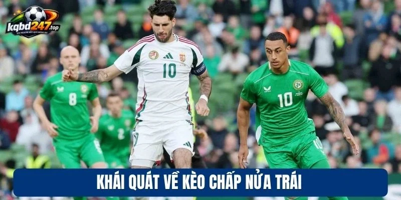 Khái quát vài điều về kèo chấp nửa trái