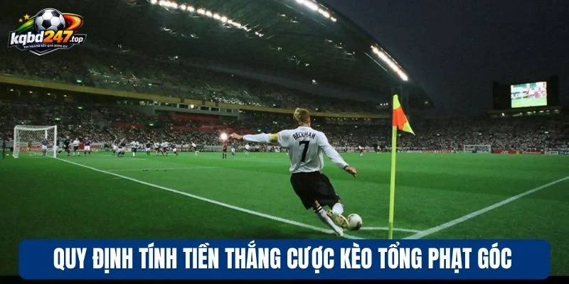 Quy định tính tiền thắng cược kèo tổng phạt góc