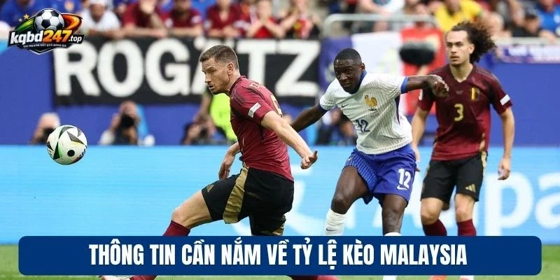 Thông tin cần nắm về tỷ lệ kèo Malaysia