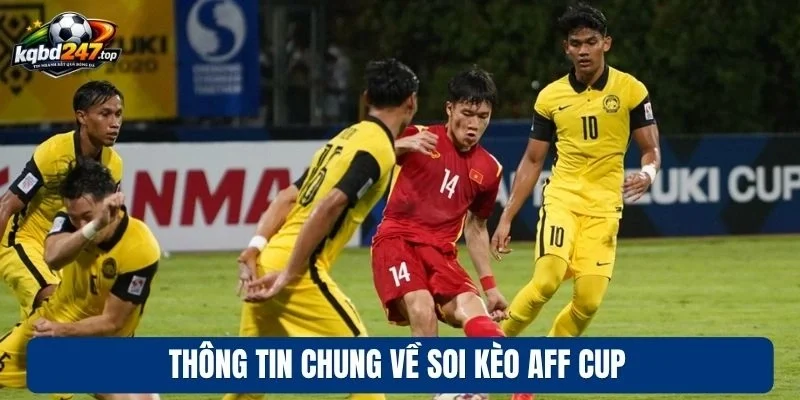 Thông tin chung về soi kèo Aff Cup