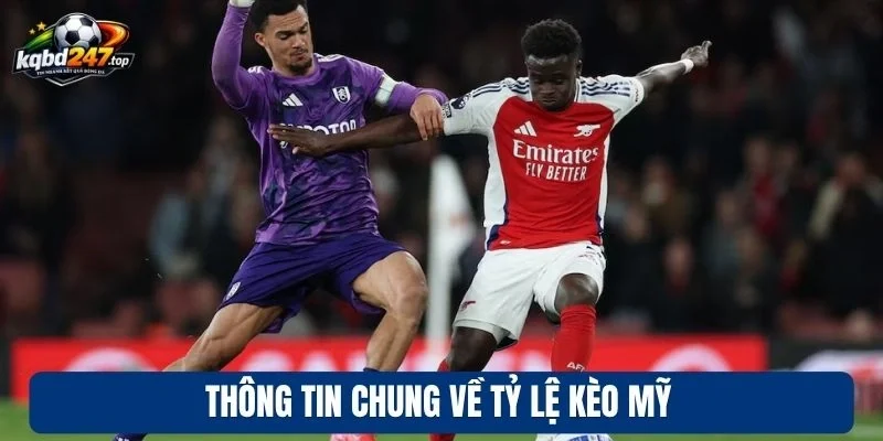 Thông tin chung về tỷ lệ kèo Mỹ