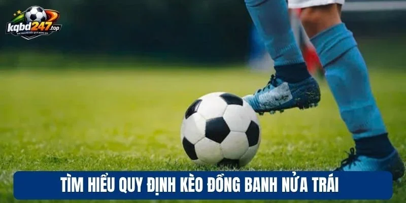 Kèo Đồng Banh Nửa Trái - Cách Đọc và Mẹo Thắng Từ Chuyên Gia 2 Tìm hiểu quy định kèo đồng banh nửa trái