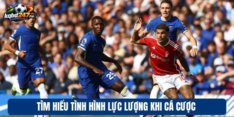 Tìm hiểu tình hình lực lượng khi cá cược