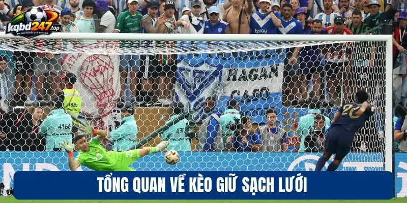 Tổng quan về kèo giữ sạch lưới