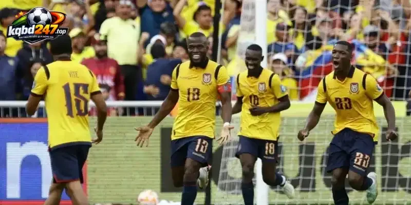 Đội hình và sơ đồ dự kiến của Ecuador vs Curacao