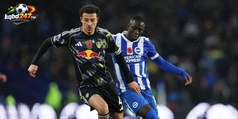 Đánh giá thực lực trận Brighton vs Leeds United