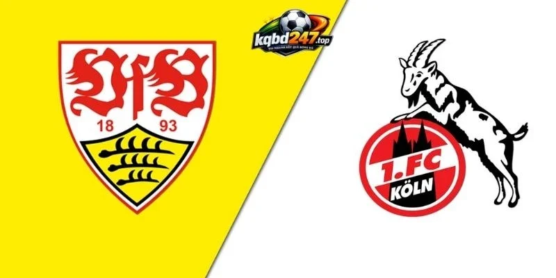 Tỷ Lệ Kèo Stuttgart Vs Köln - Bundesliga, 05/09/2026 2 Tình hình gần nhất 2 đội